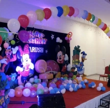 birthday Theme Decor